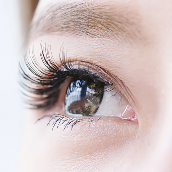 Avenil Eyelash